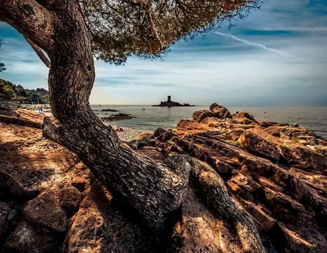 Villa Garden Level For 5 People With Sea View *